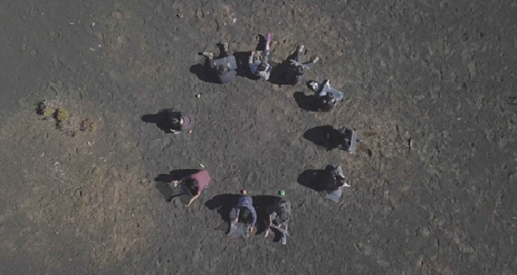 Del lugar y la mirada, Alicia Villarreal (c)