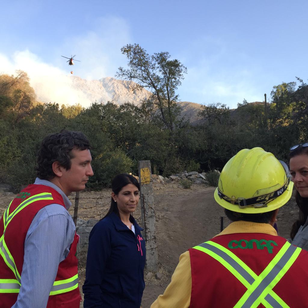 Incendio consume 80 hectáreas en Cajón del Maipo declaran Alerta