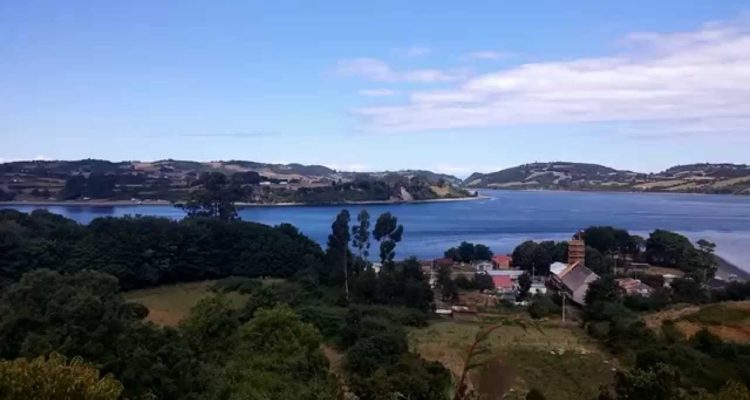 Captura de video | You Tube