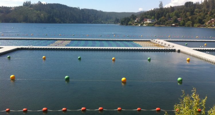 CONTEXTO | 
Pedro Cid (RBB)