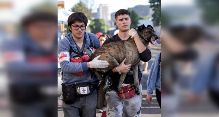 Instagram | @mariana.soledad