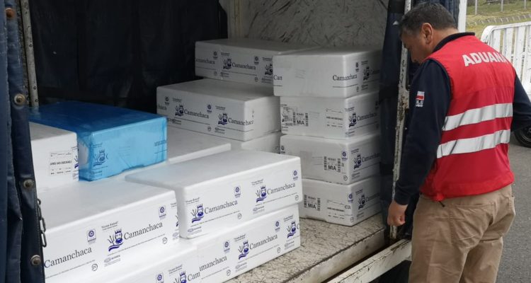 Carlos Martínez (RBB)