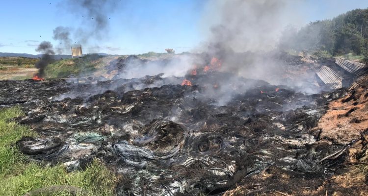 Cedidas a Radio Bío Bío