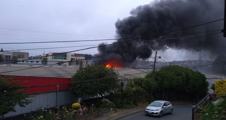 Cedida | Radio Bío Bío