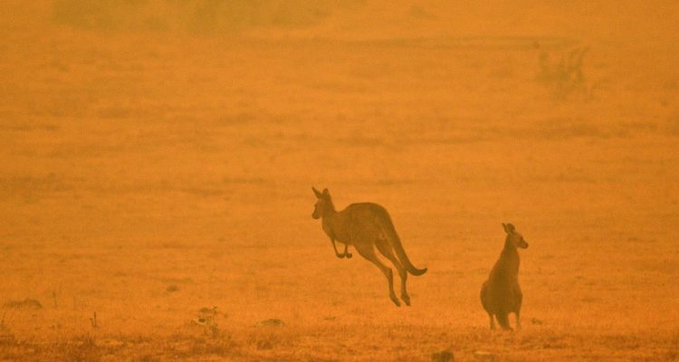 Saedd Khan | Agence France-Presse