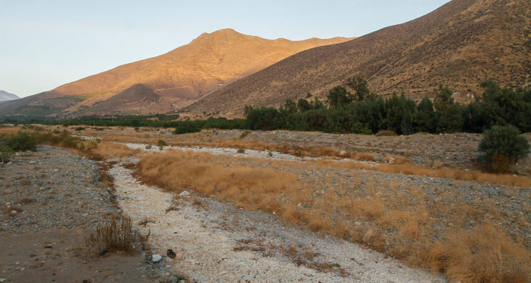 ARCHIVO | Yvo Salinas | Agencia Uno