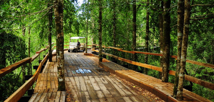 CONTEXTO  | huilohuilo.com