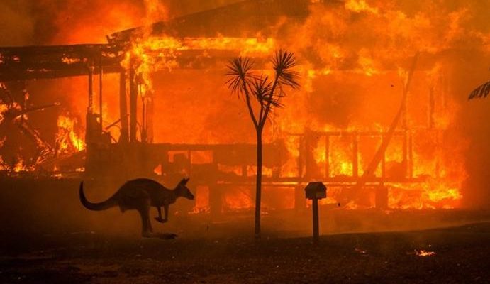 Matthew Abbott / The New York Time 