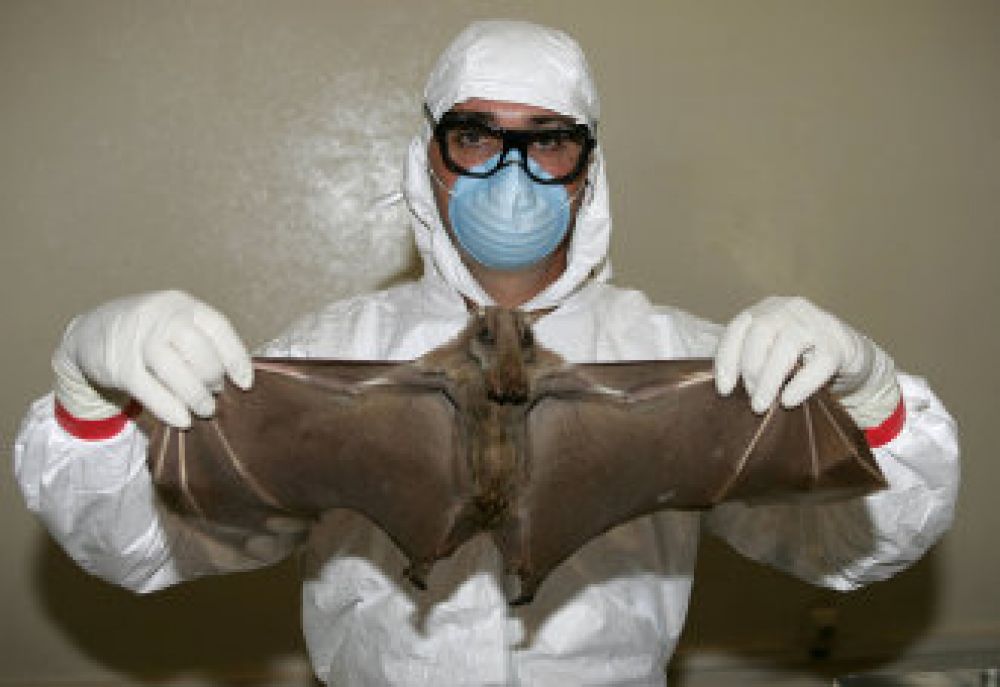 sciencesetavenir.fr