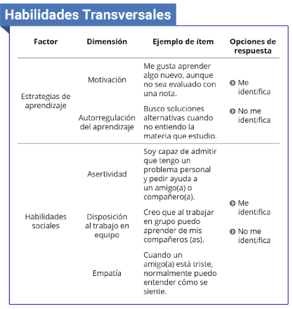 Piloto Habilidades Transversales