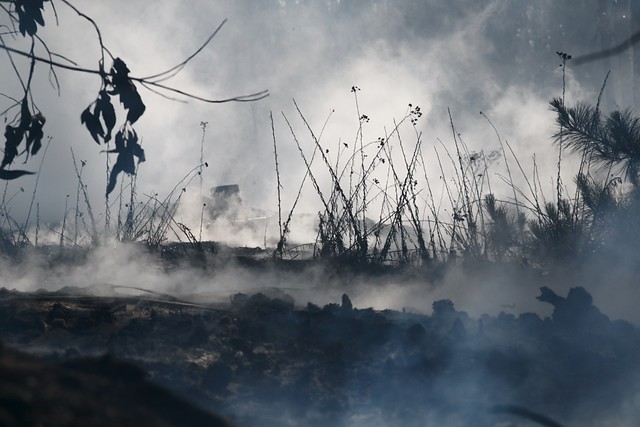 Contexto | Agencia UNO