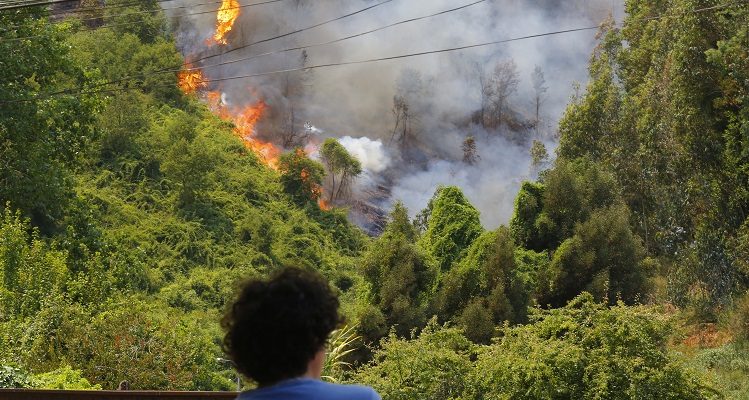 Sebastián Brogca | Agencia Uno