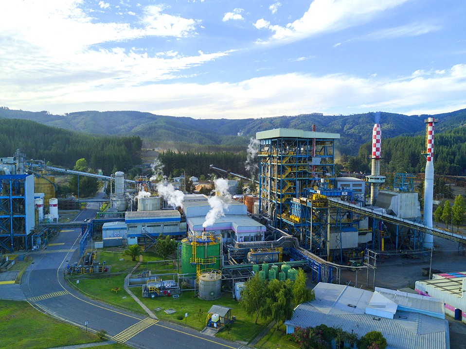 Arauco.cl