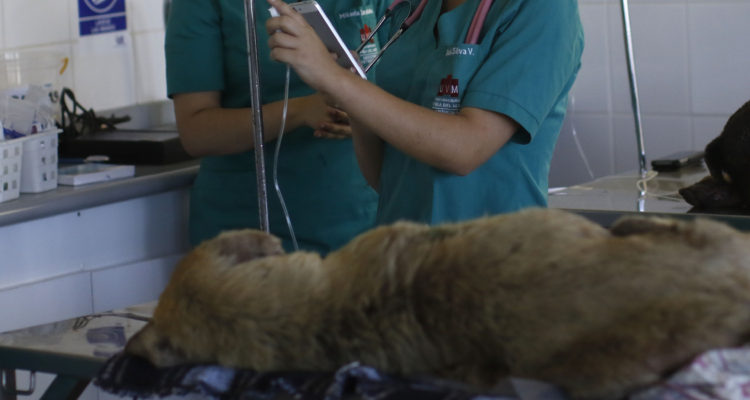 CONTEXTO | Agencia UNO