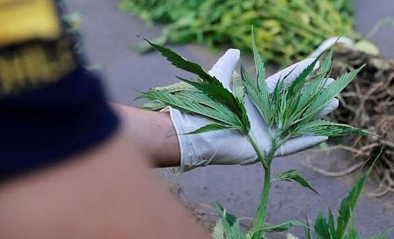 Archivo | Agencia UNO