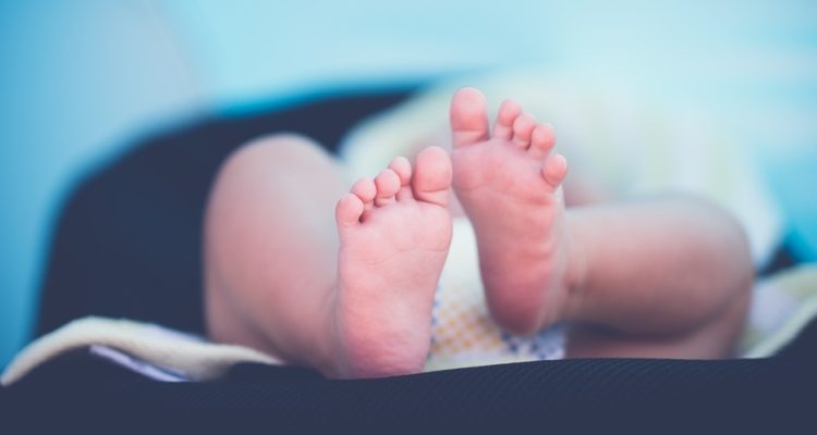 Contexto | MaxPixel (cc)