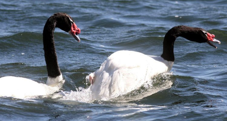 CONTEXTO | Agencia UNO