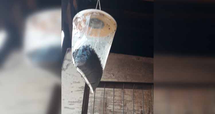 Municipio de San Javier