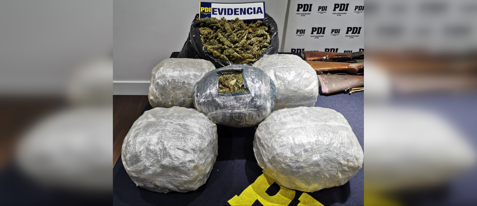 PDI Bío Bío