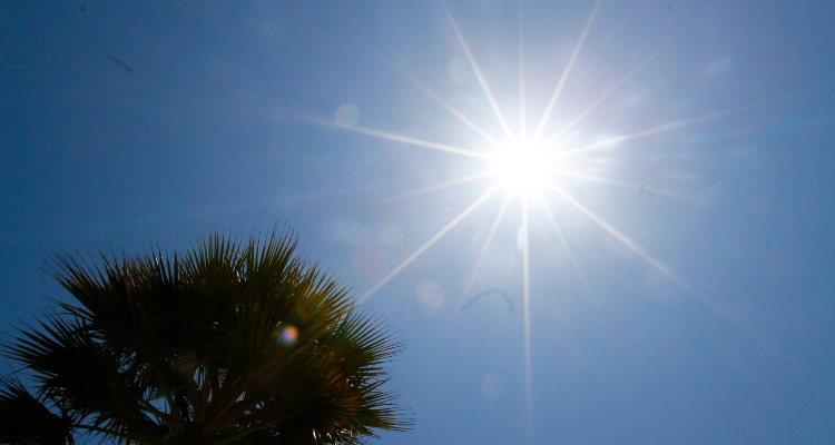 Agencia Uno