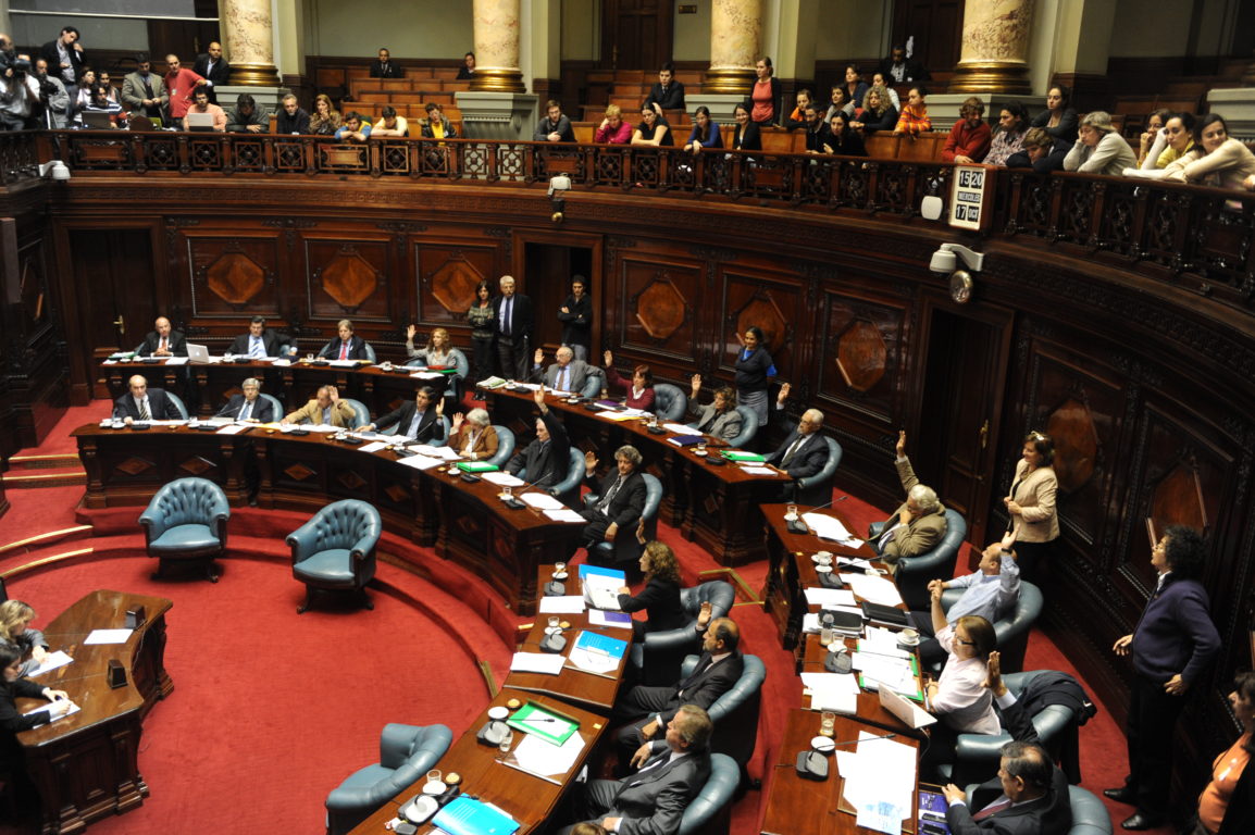 Senado uruguayo legaliza aborto en 2012 / Miguel Rojo / AFP
