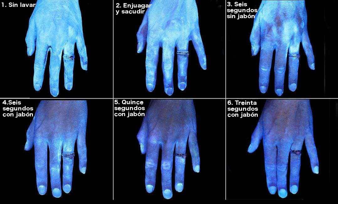 Bussiness Insider | Traducida por BioBioChile