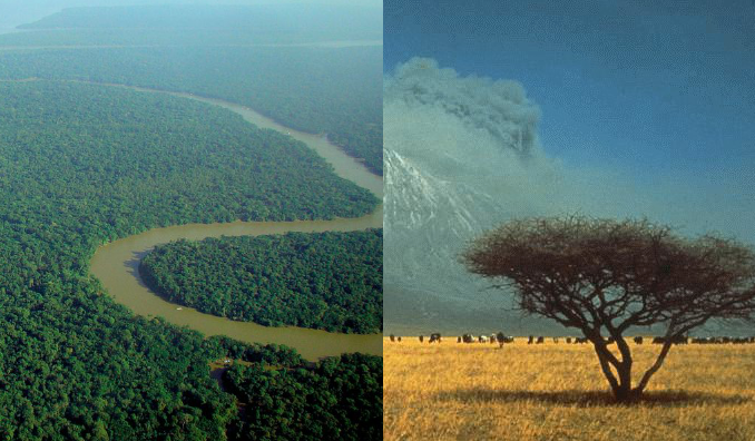 Amazonía (izquierda) y sabana (derecha) (CC) Wikimedia Commons