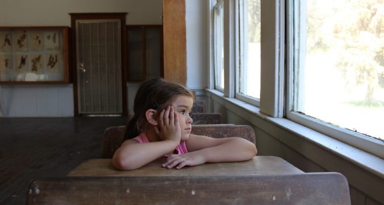 ARCHIVO | Pixabay (cc0)