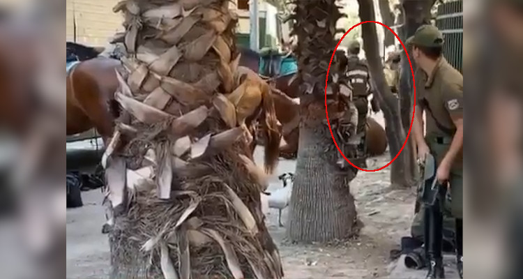 Captura video | Instagram