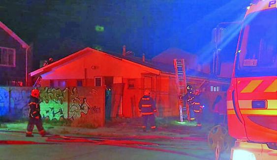 Gentileza | El Pingüino