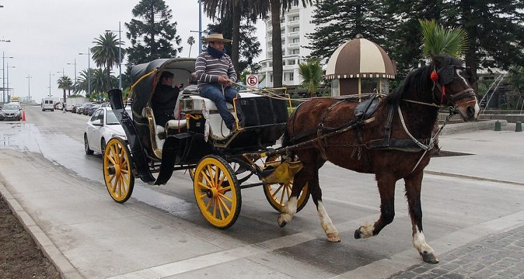 ARCHIVO | Agencia UNO