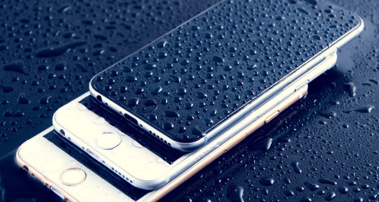 DariuszSankowski | Pixabay (cc0)