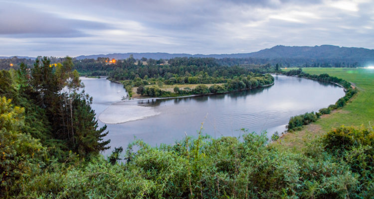 Rio San Pedro Sin Represas | Cedida