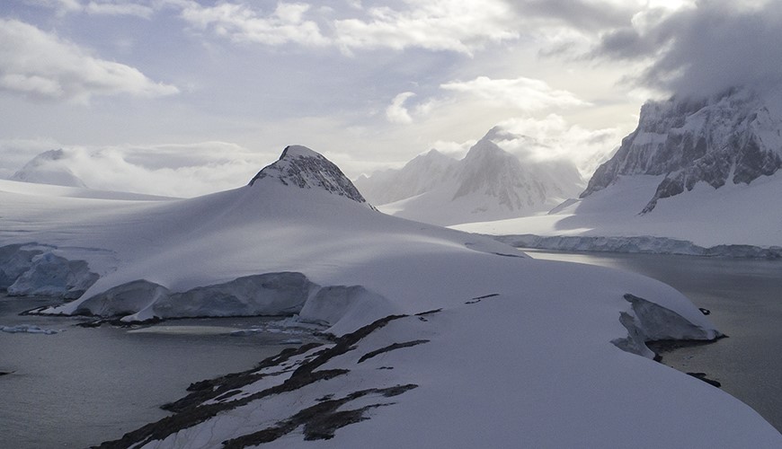 Centro de Investigación: Dinámica de Ecosistemas Marinos de Altas Latitudes - IDEAL
