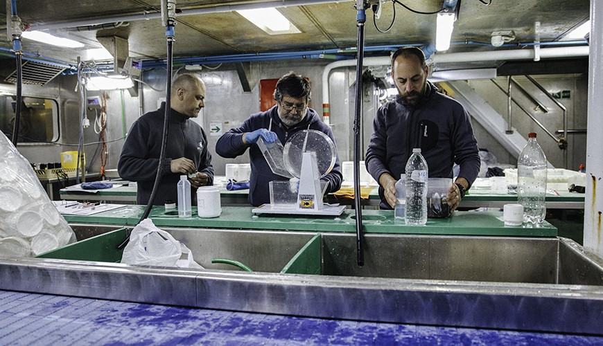 Centro de Investigación: Dinámica de Ecosistemas Marinos de Altas Latitudes - IDEAL