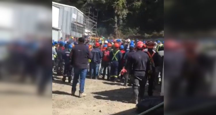 CAPTURA | @sermadltda
