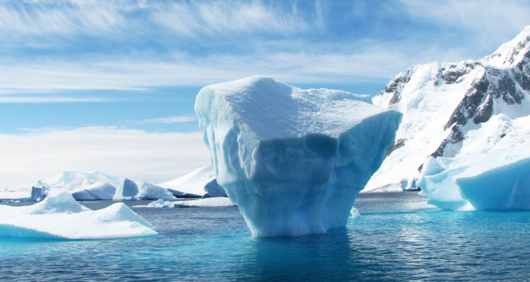 Pexels | Pixabay (CCO)