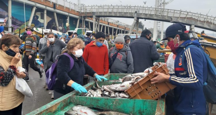Rodolfo Hahn | RBB Valparaíso 
