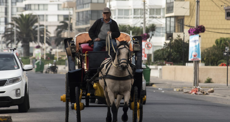 Miguel Moya | Agencia UNO