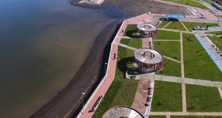 @MOPAraucania | Twitter