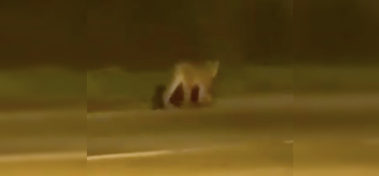 Captura