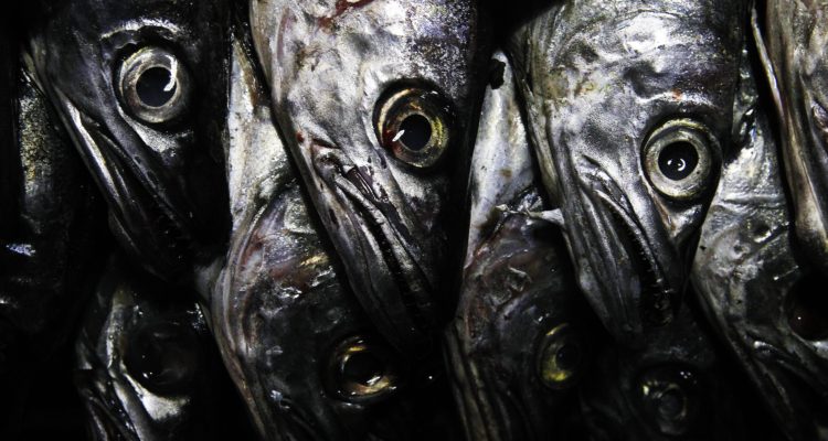 CONTEXTO | Cristóbal Escobar | Agencia UNO