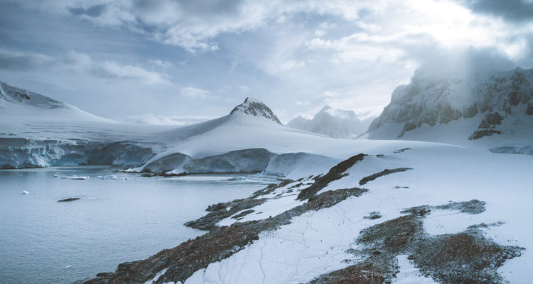 Centro de Investigación: Dinámica de Ecosistemas