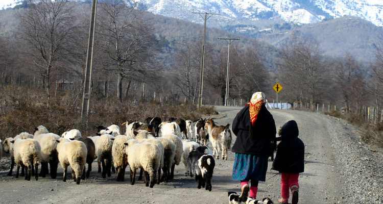 ARCHIVO | Agencia UNO