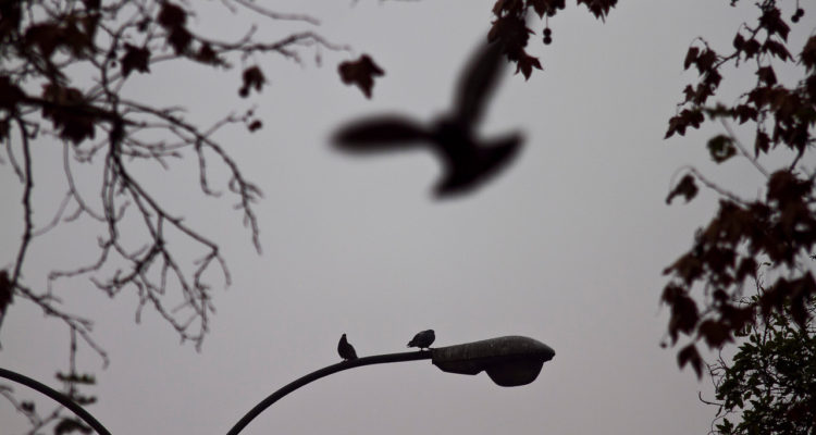 Contexto | Agencia UNO