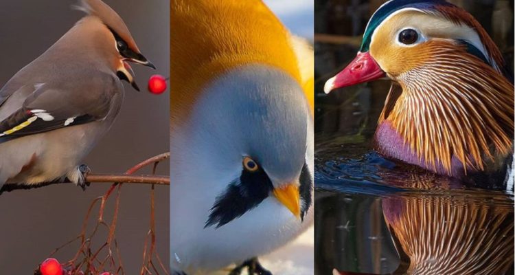 @wallmika | Instagram