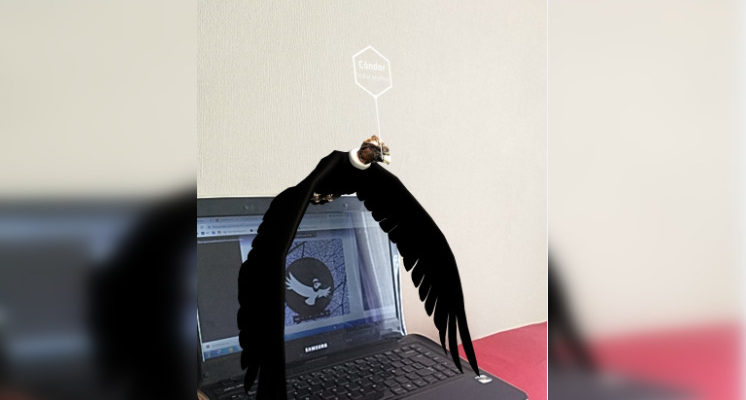 Fundación Caserta de Filantropía Cortés Solari