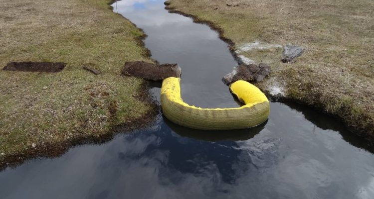 Archivo | Agencia UNO