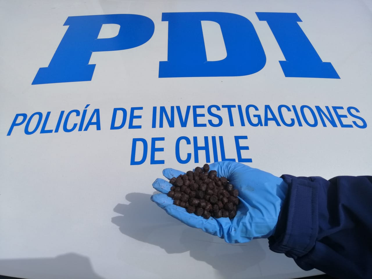 Twitter @PDI_LosLagos