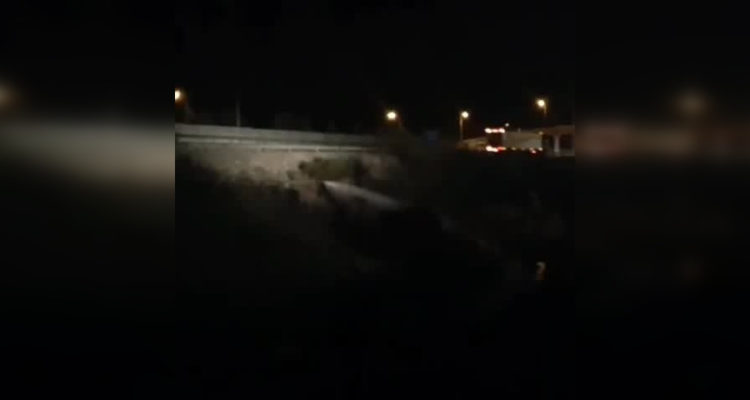 Captura de video | @aprachile 